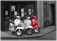 63 - VESPAS - PETRENS CELINE - belgium